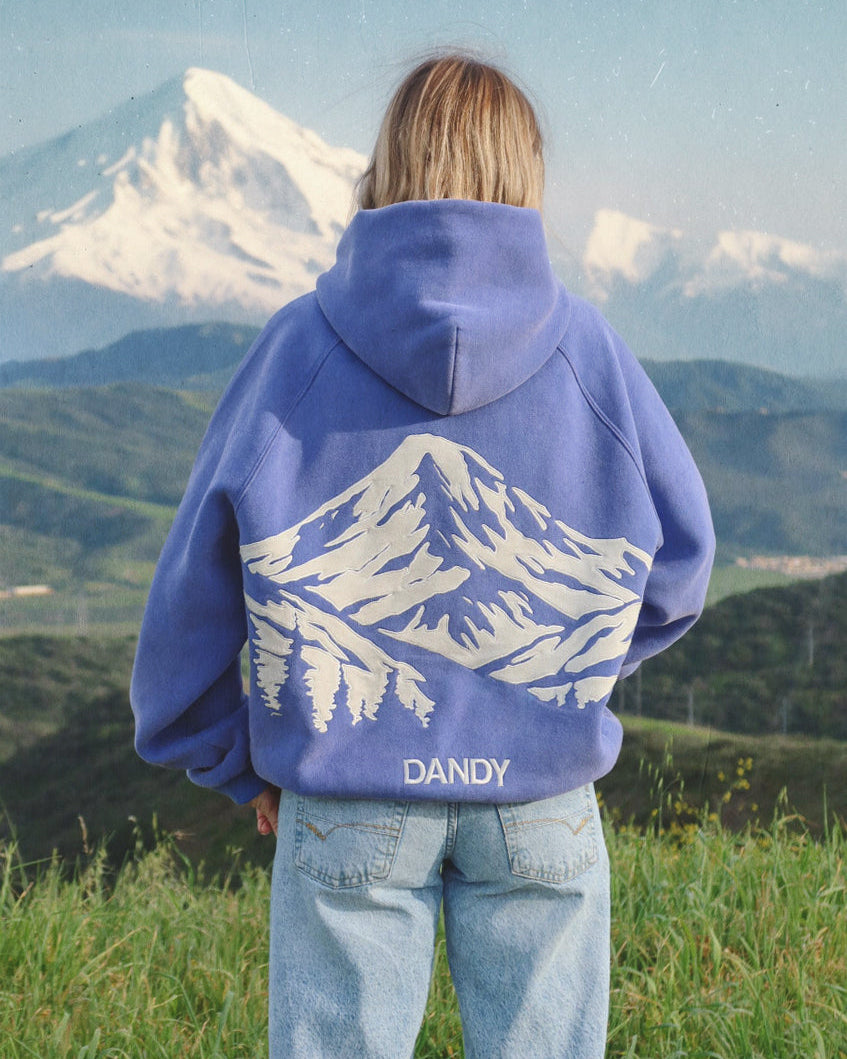 Person wearing a blue hoodie with mountain design and 'DANDY' branding, standing in a scenic landscape.