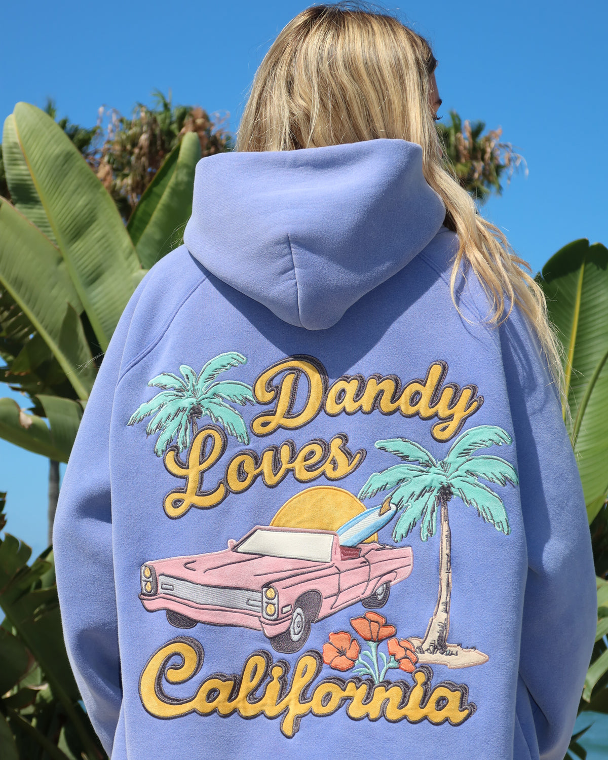 Person wearing a blue hoodie with 'Dandy Loves California' design featuring palm trees and a car.