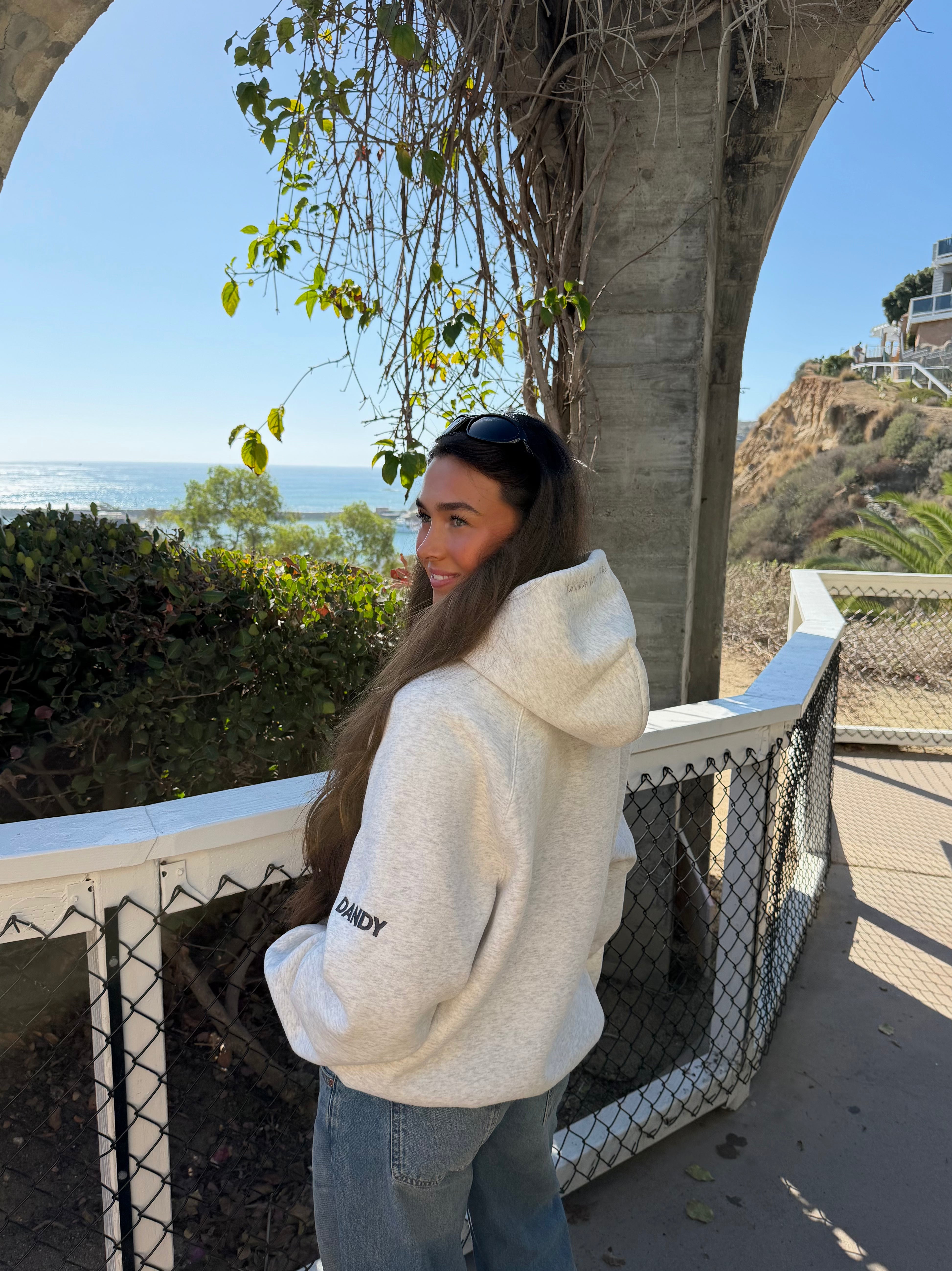 "Basics" Oversized Lux Hoodie in Heather Grey