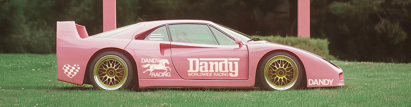 Pink race car with 'Dandy' branding on a grassy field