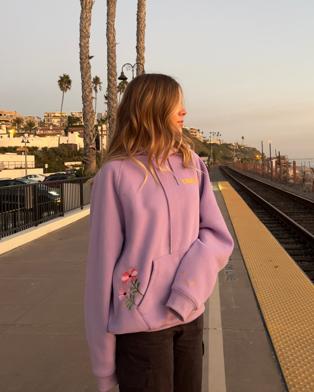 Lux Essential Lynx Pull Over Hoodie main image 0