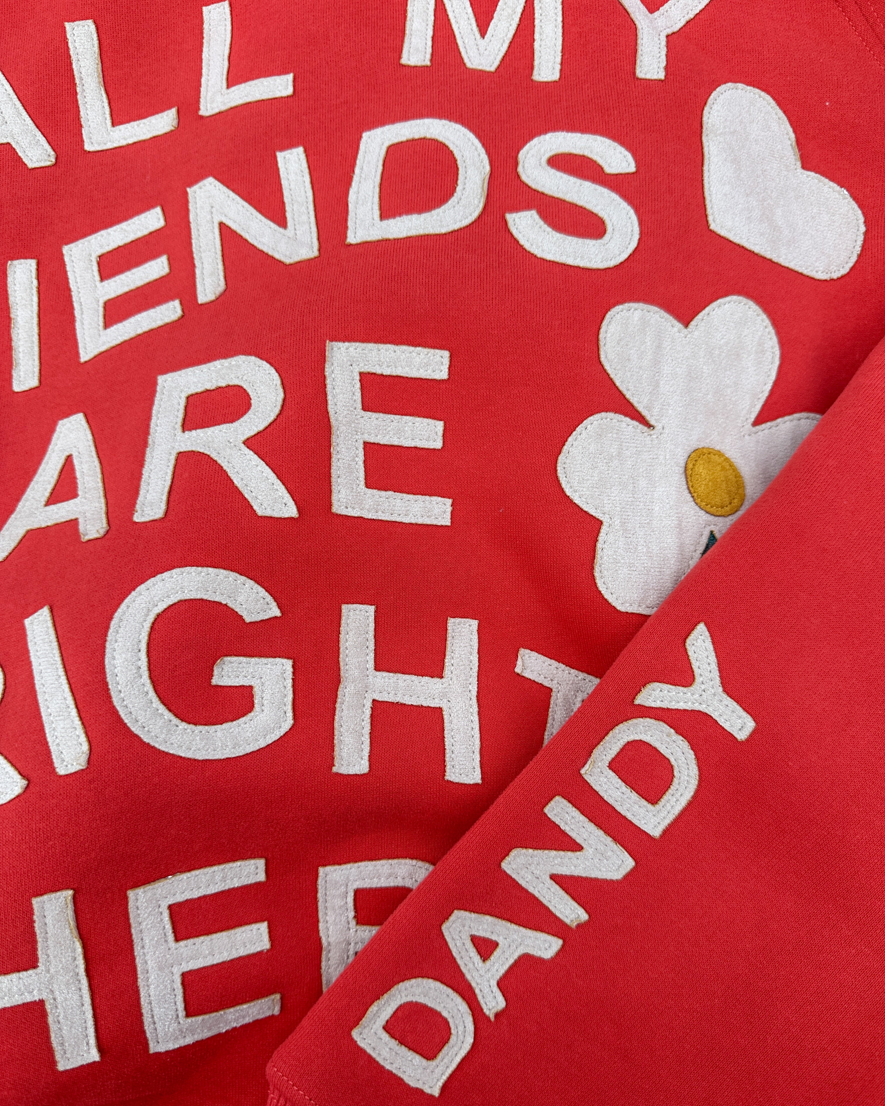 "All my Friends" Oversized Lux Hoodie in Red