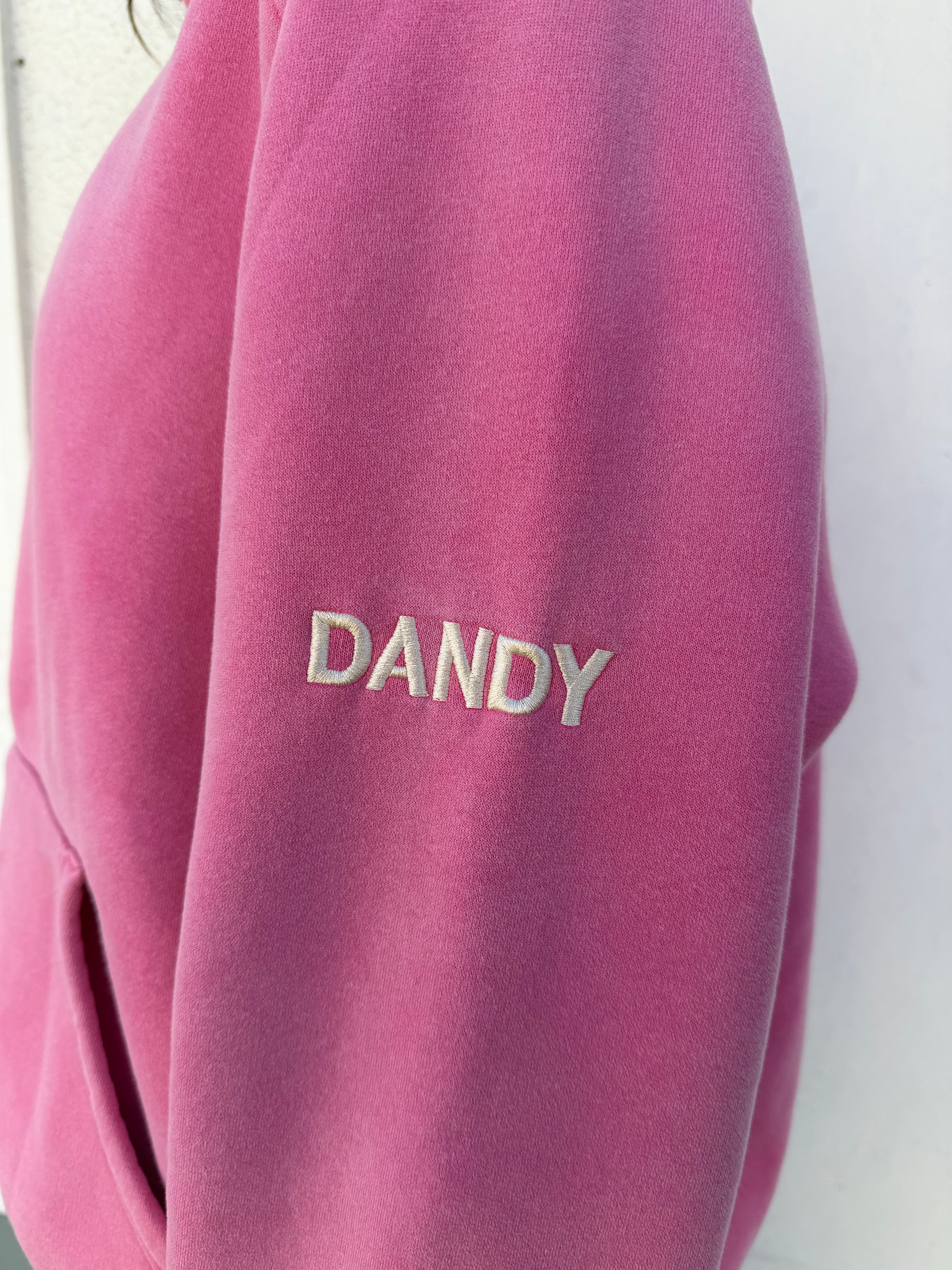 "Basics" Oversized Lux Hoodie in Vintage Washed Pink